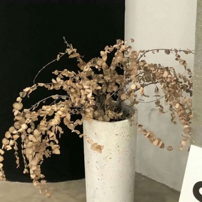 兽设萌新入门指南FurryQQ群